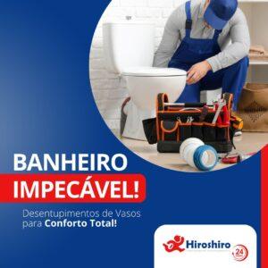 Quando o vaso sanitário se torna um problema, estamos aqui para solucioná-lo! 🚽✨