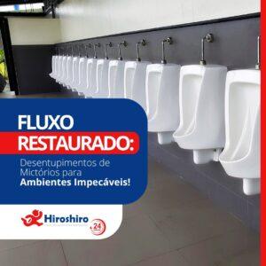 especializados de desentupimento de mictórios