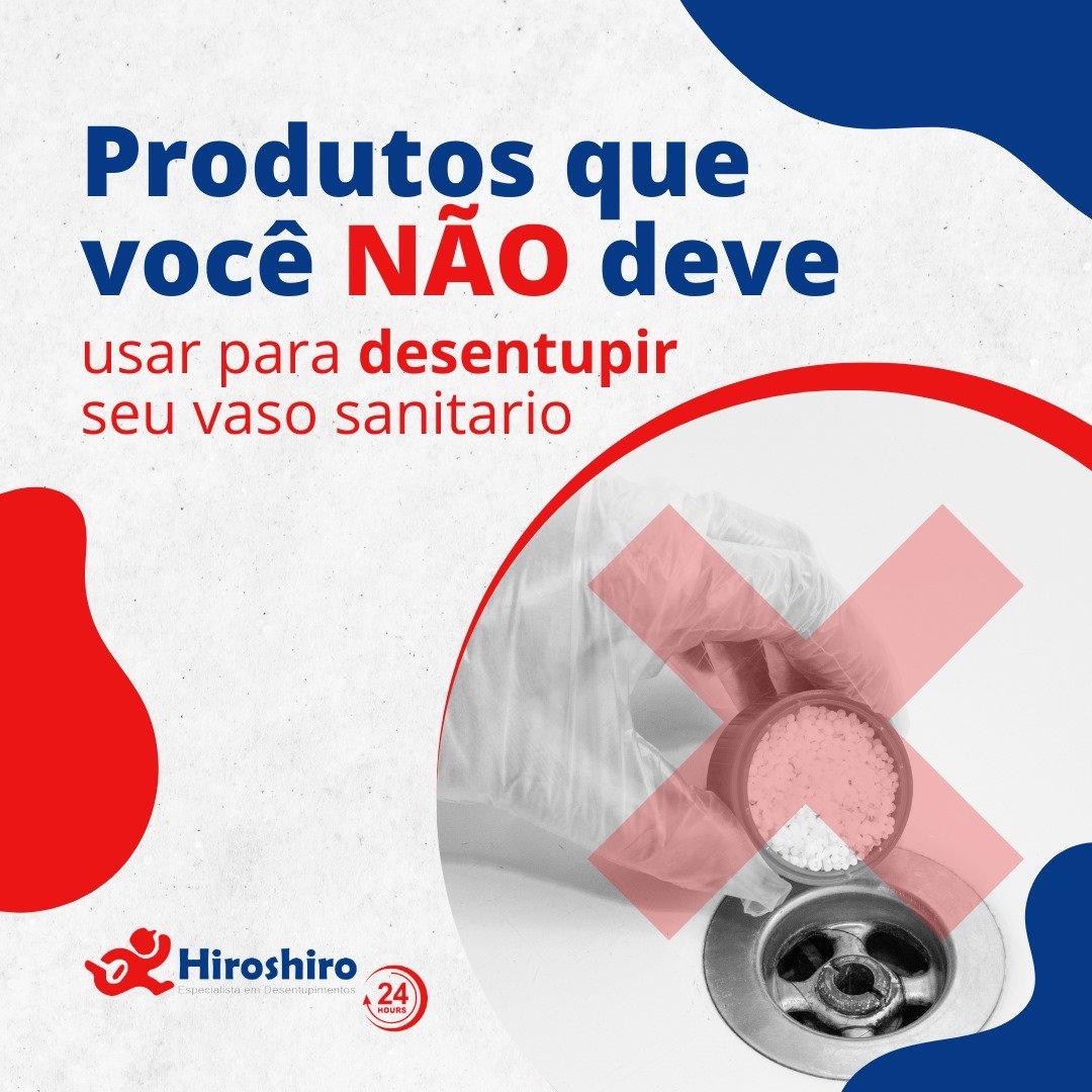 Leia mais sobre o artigo Quando o vaso sanitário entope, a tentação de usar produtos químicos ou utensílios improvisados pode ser grande