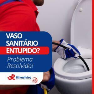 Vaso sanitário entupido?